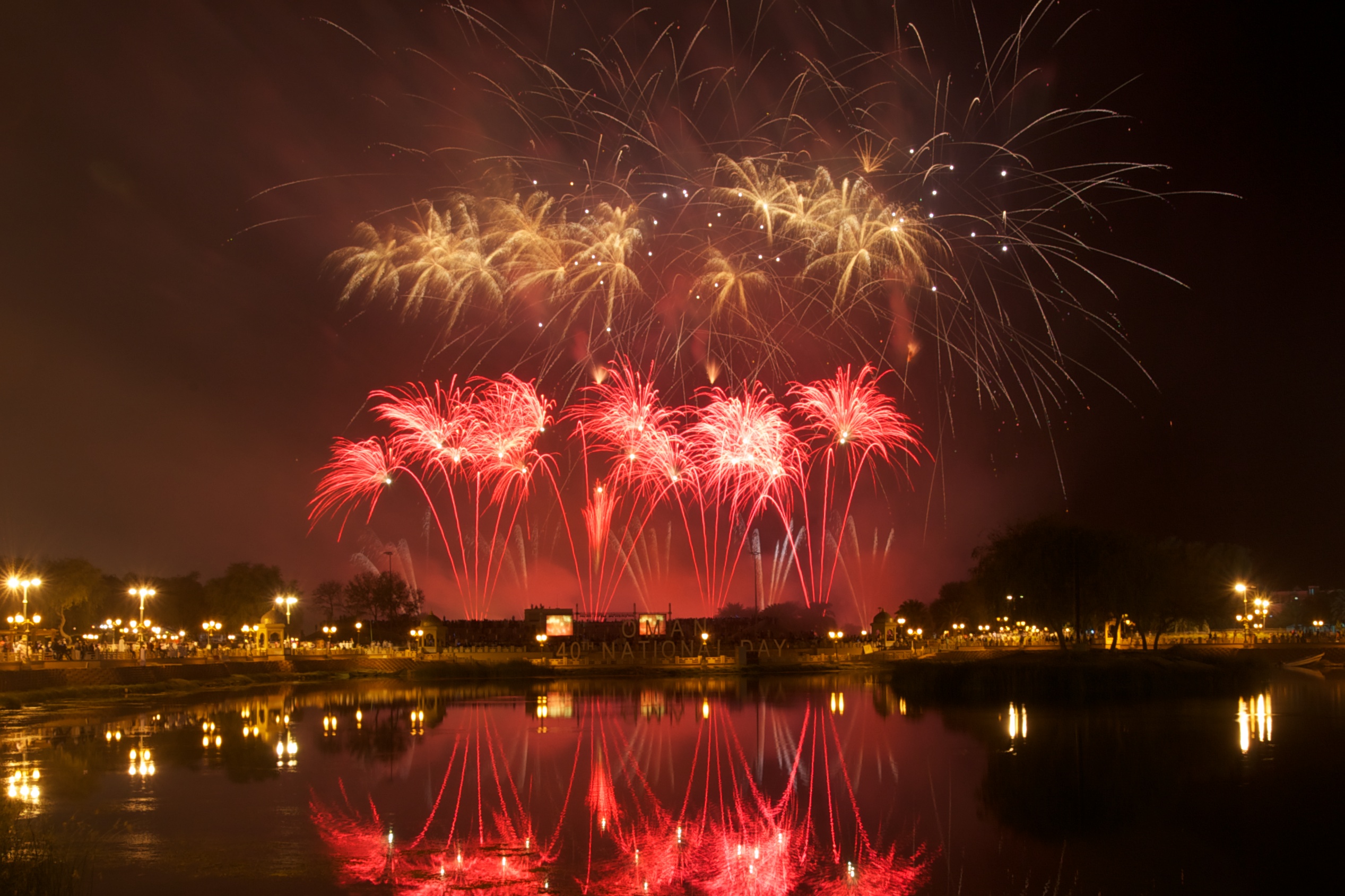 Fireworks illuminating the night sky at the World Fireworks Championship